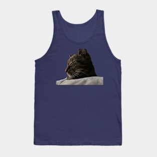 Sleeping Tabby Tank Top